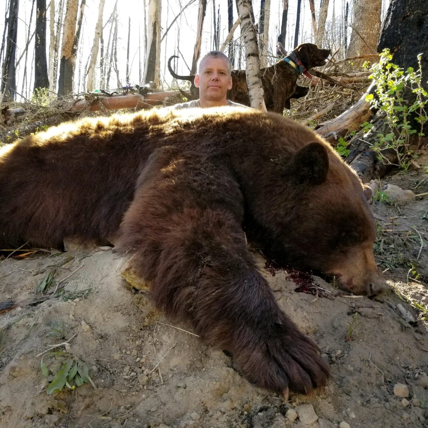 Utah Bear Hunt