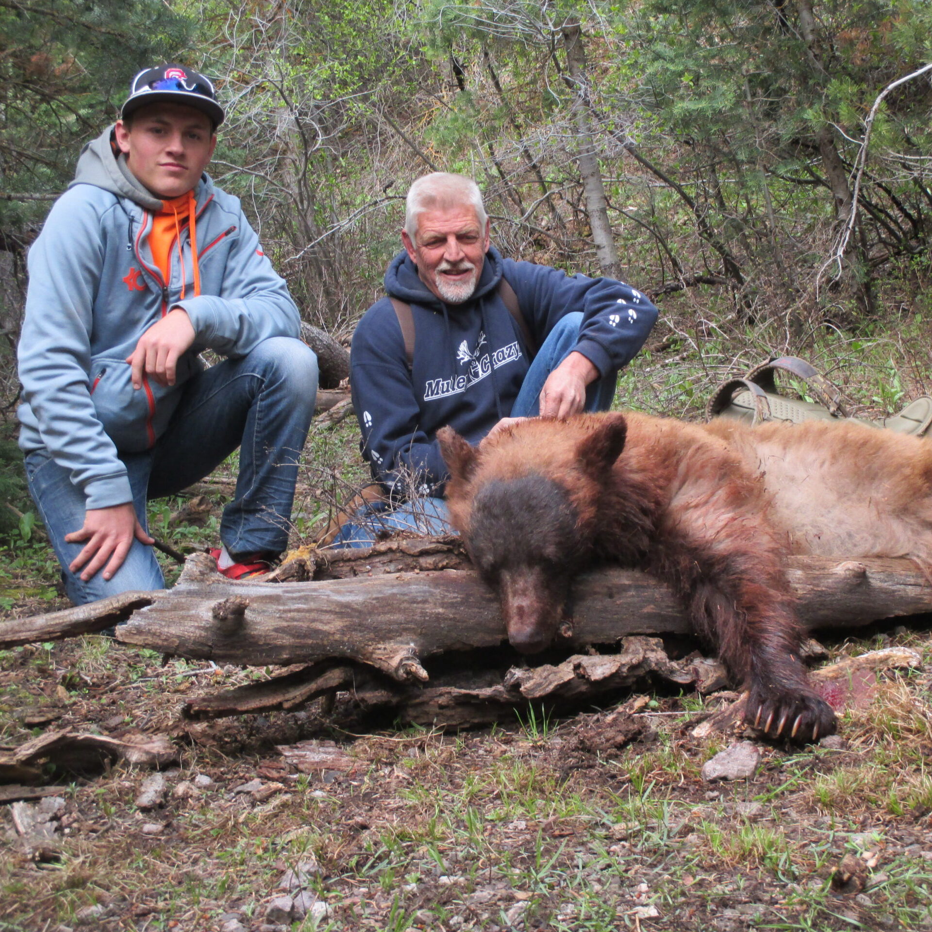 Utah Bear Hunt