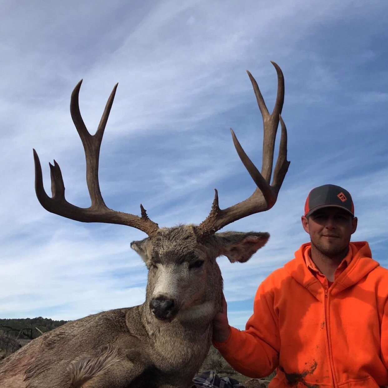 Mule Deer Hunts High Top Outfitters