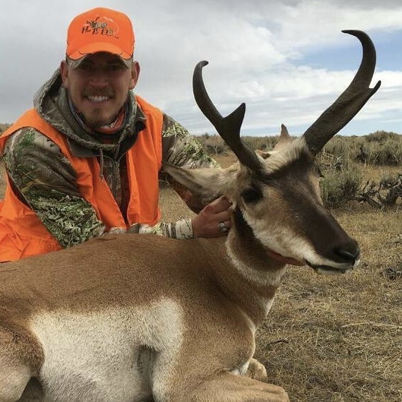 Utah Pronghorn Antelope